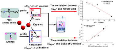 Graphical abstract: Comparison of nitrate formation mechanisms from free amino acids and amines during ozonation: a computational study
