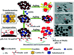 Graphical abstract: Insights on Pb(ii) retention and immobilization by ferrihydrite in the presence of Al(iii) and oxalic acid