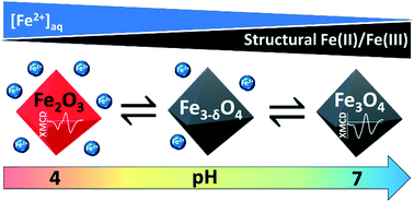 Graphical abstract: Prediction of nanomagnetite stoichiometry (Fe(ii)/Fe(iii)) under contrasting pH and redox conditions