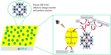 Graphical abstract: Mechanism insight into the photocatalytic degradation of fluoroquinolone antibiotics by the ZIF-8@Bi2MoO6 heterojunction