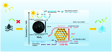 Graphical abstract: Construction of novel MoS2@COF-Ph heterojunction photocatalysts for boosted photocatalytic efficiency and hydrogen production performance under sunlight