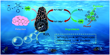 Graphical abstract: Motion-based phenol detection and degradation using 3D hierarchical AA-NiMn-CLDHs@HNTs-Ag nanomotors