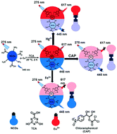 Graphical abstract: Multifunctional dual emissive fluorescent probe based on europium-doped carbon dots (Eu-TCA/NCDs) for highly selective detection of chloramphenicol, Hg2+ and Fe3+