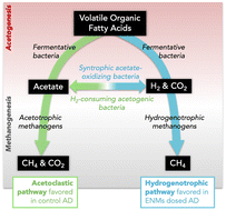 Graphical abstract: Combusted-diesel additives containing CeO2 nanomaterials shape methanogenic pathways during sludge digestion and enhance biogas production