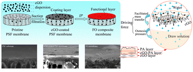 Graphical abstract: Construction of facilitated mass transfer composite membranes with triple-layer water nanochannel architecture for forward osmosis process using cGO-coated polysulfone separation membrane as the substrate