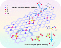 Graphical abstract: Insights into biochar supported atomically dispersed cobalt as an efficient peroxymonosulfate activator for sulfamethoxazole degradation: robust performance, ROS and surface electron-transfer pathways