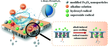 Graphical abstract: Interfacially designed magnetic nanoparticles as Fenton-like catalyst for efficient chemical cleaning of polyamide nanofiltration membranes
