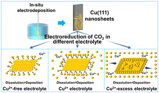 Graphical abstract: Passivation of Cu nanosheet dissolution with Cu2+-containing electrolytes for selective electroreduction of CO2 to CH4