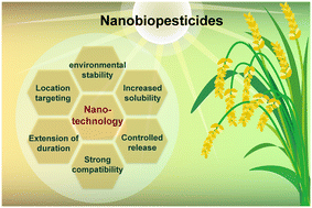 Graphical abstract: Nanobiopesticides in sustainable agriculture: developments, challenges, and perspectives