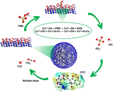 Graphical abstract: Dual metal Co-anchored nanosheets to catalyze advanced oxidation processes for highly efficient oxytetracycline degradation