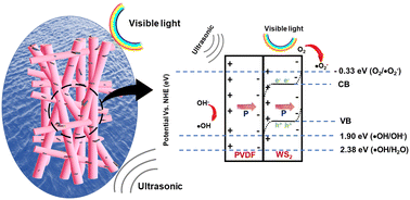 Graphical abstract: Photo-piezocatalysis in electrospun PVDF + WS2 membrane