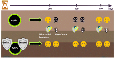 Graphical abstract: Long-term effects of silver nanoparticles (NM-300K) and soil amendments on soil respiration and mesofauna in a semi-field experiment