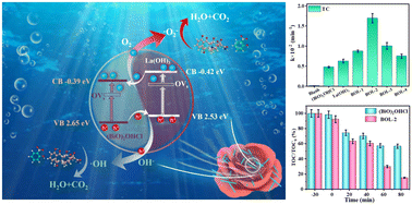 Graphical abstract: Highly efficient photocatalytic degradation over rose-like 1D/2D La(OH)3/(BiO)2OHCl heterostructures boosted by rich oxygen vacancies and enhanced interfacial charge transfer