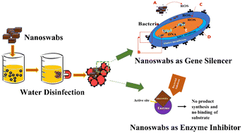 Graphical abstract: Eco-friendly multi-layered nanoswabs for sensitive removal of antibiotic-resistant bacteria from drinking water sources and their molecular biology studies
