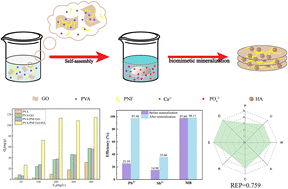 Graphical abstract: Functional regulation of polymer aerogels by graphene doping and peptide nanofiber-induced biomineralization as sustainable adsorbents of contaminants