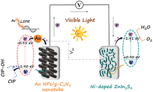 Graphical abstract: Highly efficient detection of ciprofloxacin with a self-powered sensing device based on a Au NPs/g-C3N4 micron tube and a 3D Ni-doped ZnIn2S4 thin film