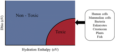 Graphical abstract: Metal and metal oxide nanoparticle toxicity: moving towards a more holistic structure–activity approach