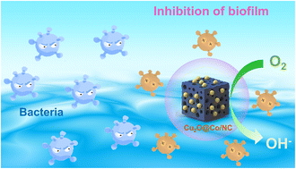 Graphical abstract: Cu2O@Co/N-doped carbon as antibacterial catalysts for oxygen reduction in microbial fuel cells