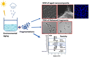 Graphical abstract: Fragmentation and release of pristine and functionalized carbon nanotubes from epoxy-nanocomposites during accelerated weathering