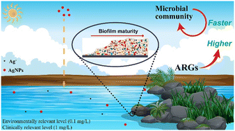 Graphical abstract: Silver nanoparticles alter the bacterial assembly and antibiotic resistome in biofilm during colonization