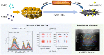 Graphical abstract: Cr(iii)-bearing schwertmannite transformation by Fe(ii)–oxalic acid catalysis: complexation of Fe(iii)/oxalate and nanoscale redistribution of Cr/C