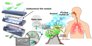 Graphical abstract: Improved antibacterial activity of 3D wrinkled graphene oxide films implemented with irreversibly shrinkable shape-memory polymer substrates
