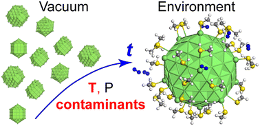 Graphical abstract: Morphological sensitivity of silver nanoparticles to the environment
