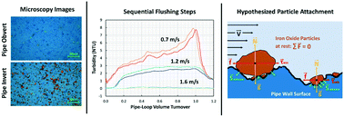 Graphical abstract: Initial stages of particulate iron oxide attachment on drinking water PVC pipes characterized by turbidity data and brightfield microscopy from a full-scale laboratory