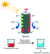 Graphical abstract: Bismuth ferrite (BiFeO3) perovskite-based advanced nanomaterials with state-of-the-art photocatalytic performance in water clean-up