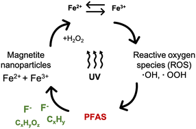 Graphical abstract: Destruction of per/poly-fluorinated alkyl substances by magnetite nanoparticle-catalyzed UV-Fenton reaction