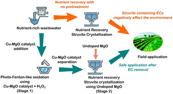 Graphical abstract: Treatment of emerging contaminants in simulated wastewater via tandem photo-Fenton-like reaction and nutrient recovery