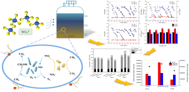 Graphical abstract: The mechanism of sulfate on a nitrate denitrifying anaerobic methane oxidation system