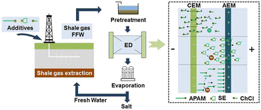 Graphical abstract: Typical organic fouling in the electrodialysis concentration/desalination process of shale gas fracturing flowback water