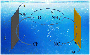 Graphical abstract: Practical considerations for the electrochemical denitrification of real wastewater