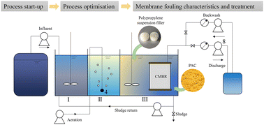 Graphical abstract: Ceramic membrane bioreactor for low carbon source wastewater treatment: process design performance and membrane fouling