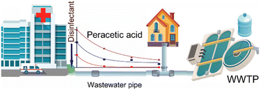 Graphical abstract: Antibiotic-resistant bacteria disinfection in untreated hospital wastewater using peracetic acid with short contact time