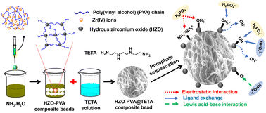 Graphical abstract: Surface functionalized poly(vinyl alcohol)–hydrous zirconium oxide composite beads for efficient and selective sequestration of phosphate from wastewater
