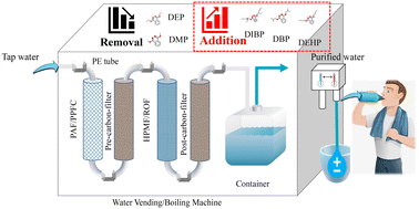 Graphical abstract: Human exposure to phthalate esters via ingestion of municipal drinking water from automatic water purifiers: levels, sources, and risks