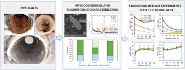 Graphical abstract: Heavy metal, organic matter, and disinfection byproduct release from drinking water pipe scales under stagnant conditions