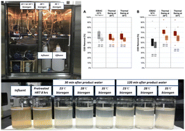 Graphical abstract: Thermal swing intermittently-operated biological activated carbon filtration for rapid, non-sewered treatment of psychrophilic black water