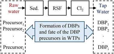 Graphical abstract: Changes in optical properties and molecular composition of dissolved organic matter and formation of disinfection by-products during conventional water treatment processes