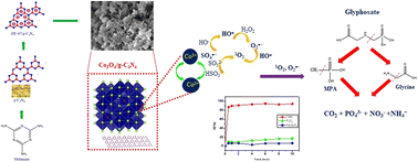 Graphical abstract: Decomposition and mineralization of glyphosate herbicide in water by radical and non-radical pathways through peroxymonosulfate activation using Co3O4/g-C3N4: a comprehensive study