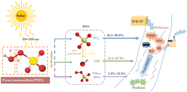 Graphical abstract: Performance of the solar/peroxymonosulfate process in (waste)water treatment: abatement of micropollutants, roles of reactive oxygen species, and formation of disinfection by-products