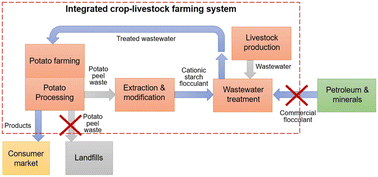 Graphical abstract: Flocculation of livestock wastewater using cationic starch prepared from potato peels