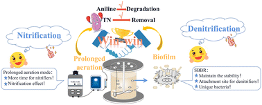 Graphical abstract: Solving the problem of high concentration aniline inhibiting nitrogen removal: starting the SBBR with the prolonged aeration mode