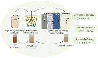 Graphical abstract: Evaluating the performance of an integrated membrane-aerated biofilm reactor (MABR) system for high-strength brewery wastewater treatment