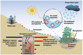 Graphical abstract: UV exposure to PET microplastics increases their downward mobility in stormwater biofilters undergoing freeze–thaw cycles