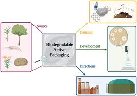 Graphical abstract: Biodegradable biopolymers for active packaging: demand, development and directions