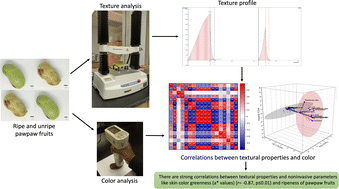 Graphical abstract: Correlations between color, textural properties and ripening of the North American pawpaw (Asimina triloba) fruit