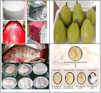Graphical abstract: Eco-friendly biodegradable nanocomposite materials and their recent use in food packaging applications: a review